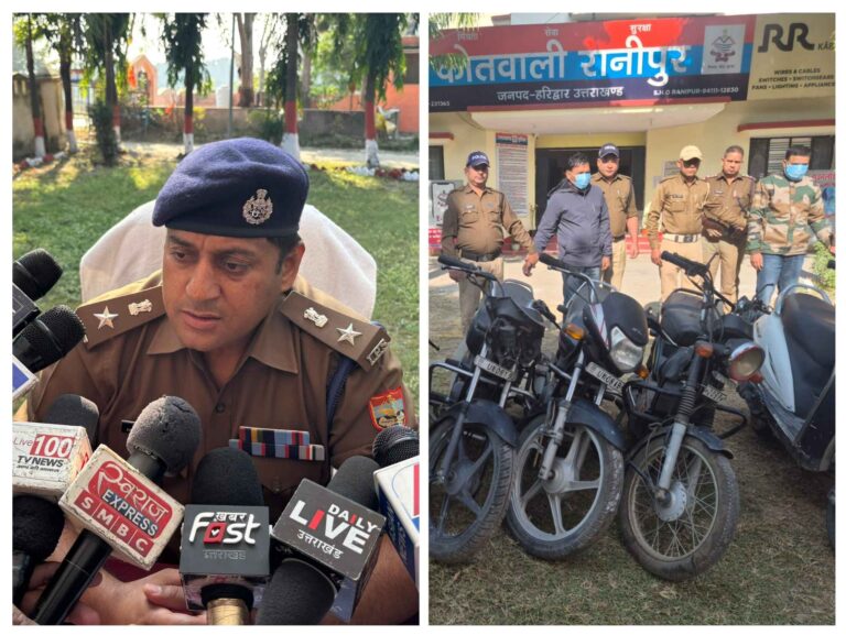 20251124_155602-COLLAGE