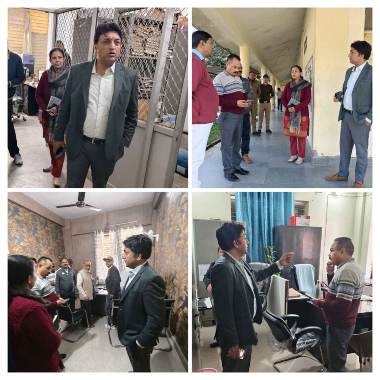 20251124_165605-COLLAGE