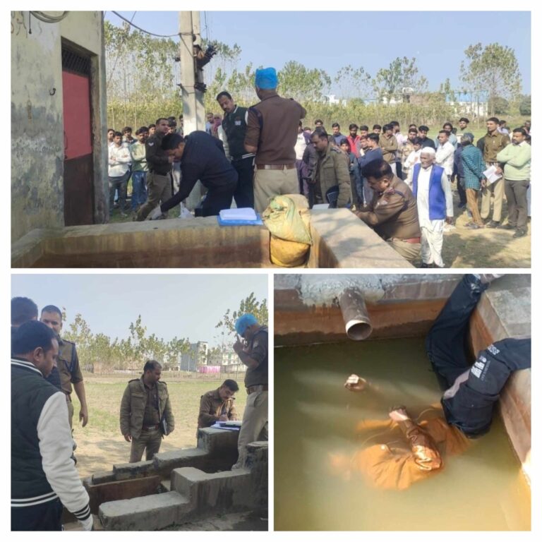 20251129_142719-COLLAGE