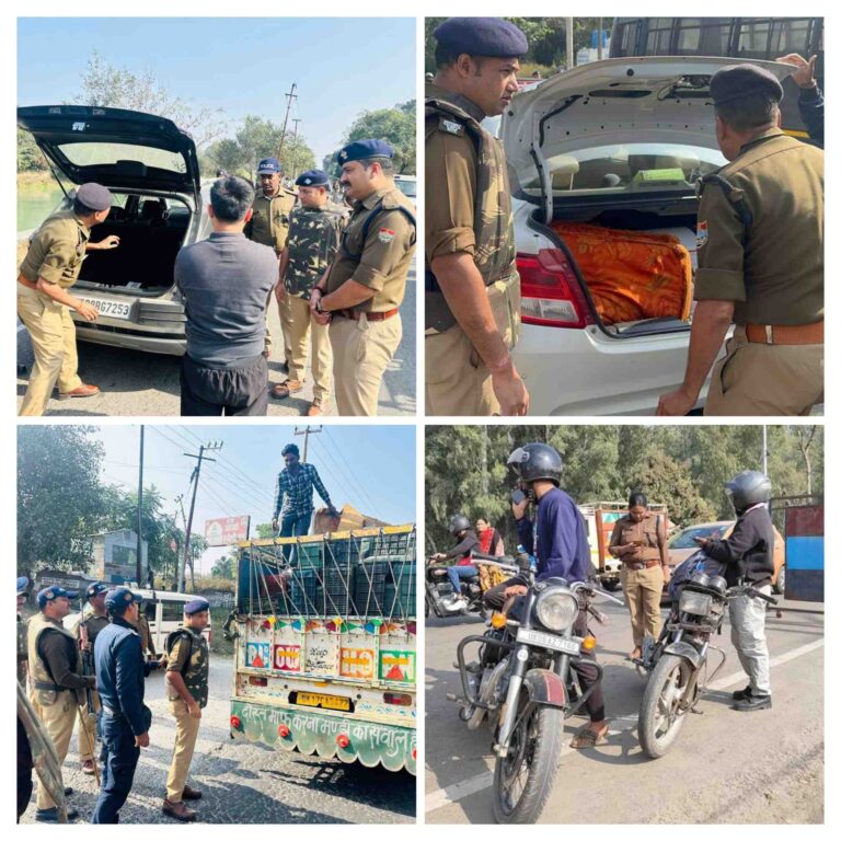 20251129_145610-COLLAGE