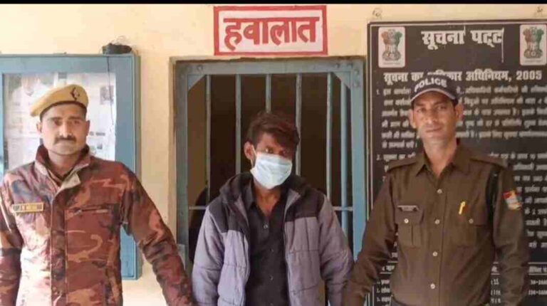 IMG-20251122-WA0008 (1) (1)