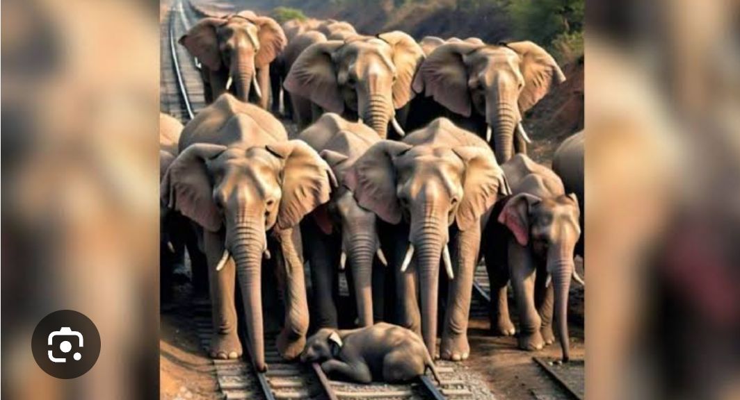 Screenshot_20251201-124426.Google