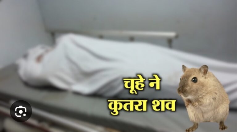 Screenshot_20251206_134801_Google