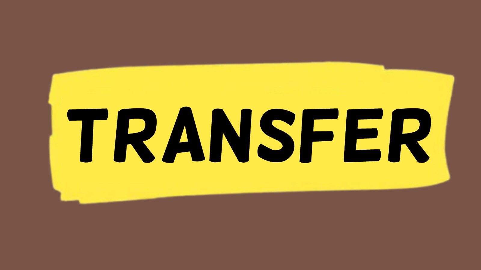 Transfer_1740415558074