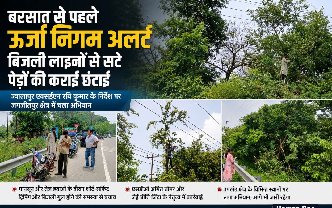 बरसात को लेकर ऊर्जा निगम अलर्ट, बिजली लाइनों से सटे पेड़ों की कराई छंटाई