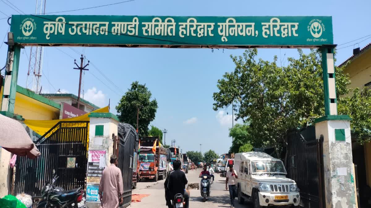 मंडी में दुकान आवंटन से पहले सक्रिय हुए दलाल, सचिव ने व्यापारियों को किया सावधान